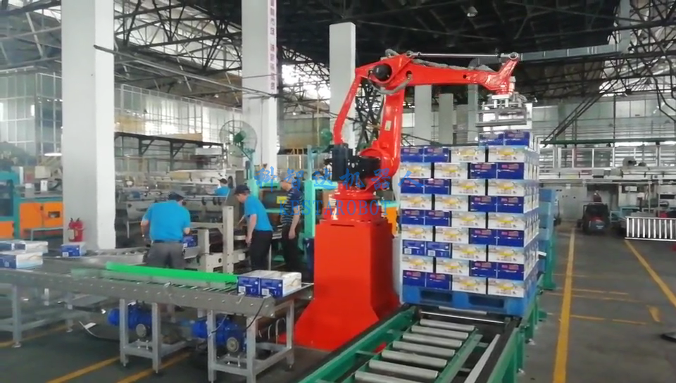 紙箱碼垛機(jī)器人